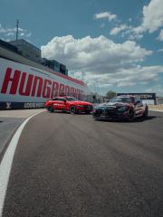 Safety Car and Medical Car on track