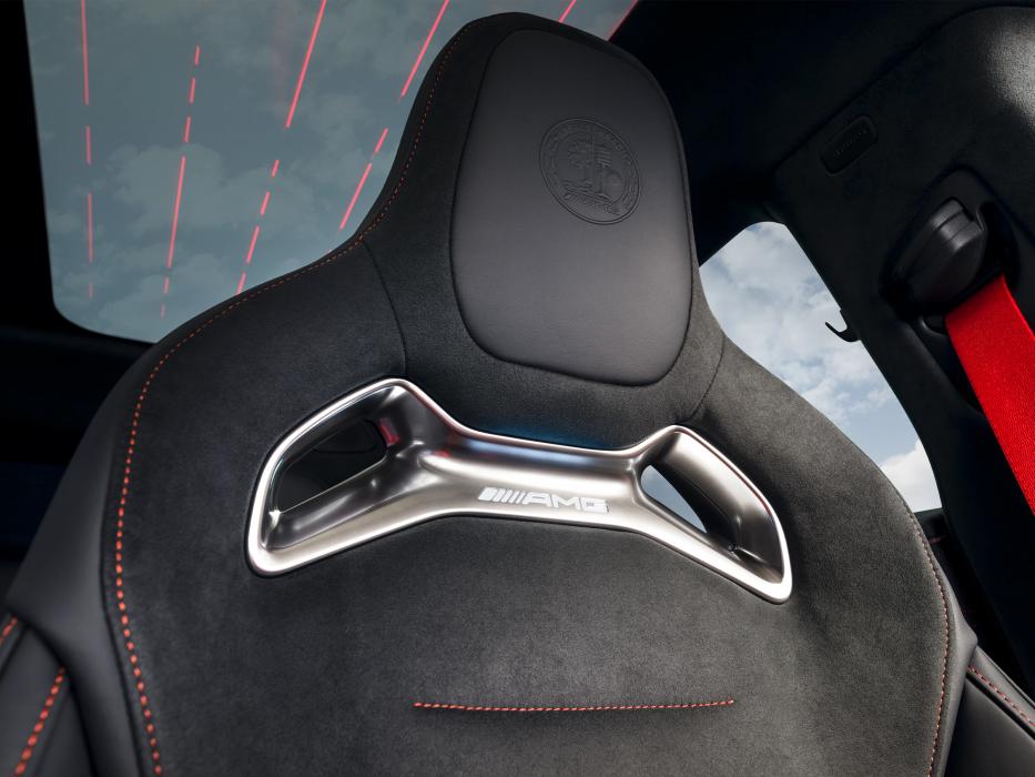 Detailed view of headrest Mercedes-AMG GT 4-Door Coupé